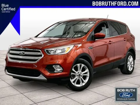 Orange 2019 Ford Escape SE for sale in Dillsburg, PA