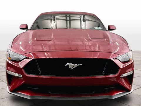 Another view of 2019 Ford Mustang GT for sale in Dillsburg, PA at Bob Ruth Ford Dillsburg