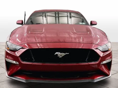 Another view of 2019 Ford Mustang GT for sale in Dillsburg, PA at Bob Ruth Ford Dillsburg