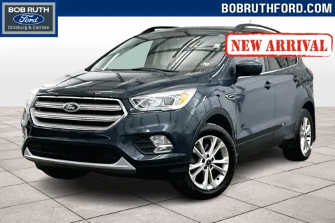 Green 2019 Ford Escape SEL for sale in Dillsburg, PA