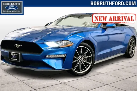 Blue 2019 Ford Mustang EcoBoost Premium for sale in Dillsburg, PA