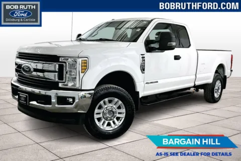 White 2019 Ford Super Duty F-250 SRW XLT for sale in Dillsburg, PA