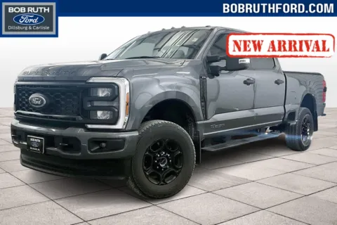 Gray 2024 Ford Super Duty F-350 SRW XL for sale in Dillsburg, PA