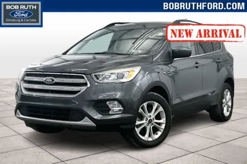 Gray 2019 Ford Escape SEL for sale in Dillsburg, PA