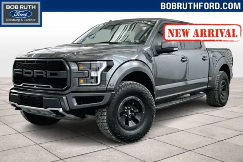 Gray 2018 Ford F-150 Raptor for sale in Dillsburg, PA