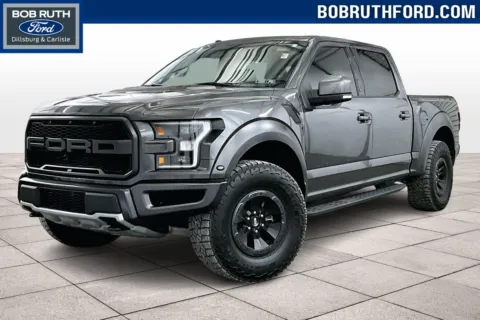 Gray 2018 Ford F-150 Raptor for sale in Dillsburg, PA