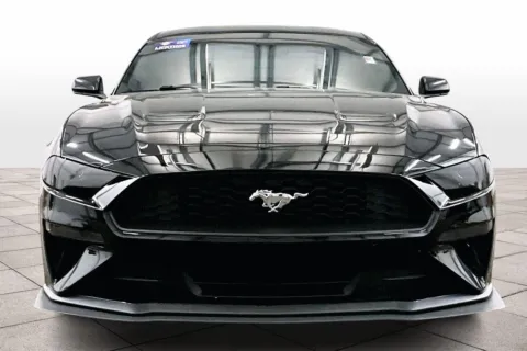Another view of 2019 Ford Mustang EcoBoost for sale in Dillsburg, PA at Bob Ruth Ford Dillsburg