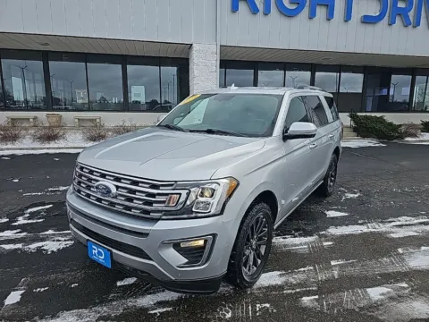 Silver 2019 Ford Expedition Limited for sale in Muncie, IN