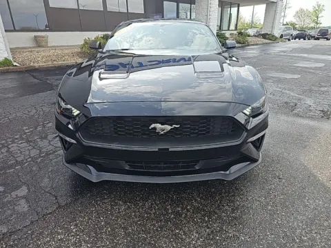 Photos of 2019 Ford Mustang EcoBoost for sale in Muncie, IN at RightDrive Muncie