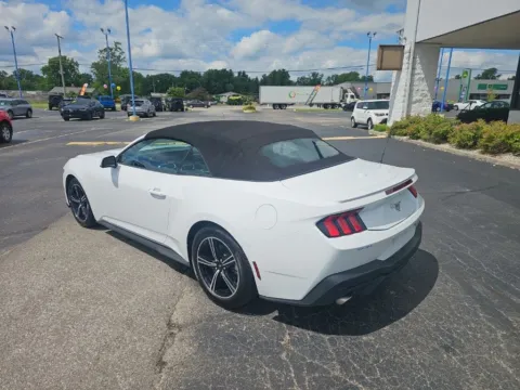 More photos of 2025 Ford Mustang EcoBoost Premium at RightDrive Muncie, IN