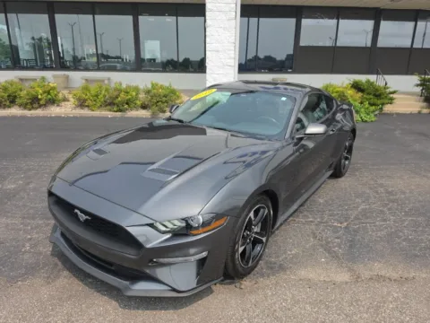 Gray 2019 Ford Mustang EcoBoost for sale in Muncie, IN