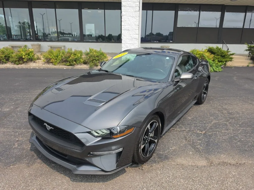 Gray 2019 Ford Mustang EcoBoost for sale in Muncie, IN