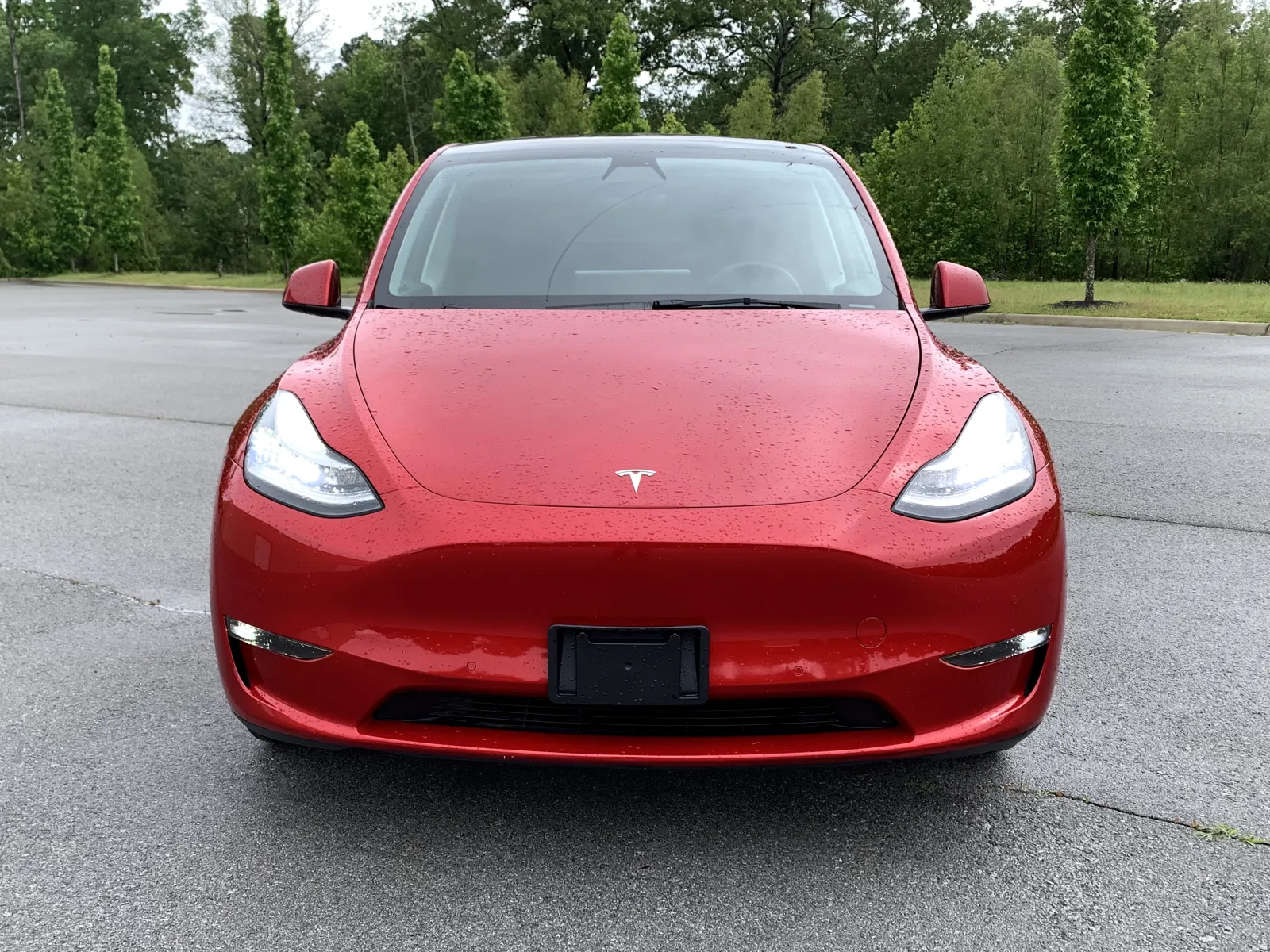 Tesla Model Y photo 2