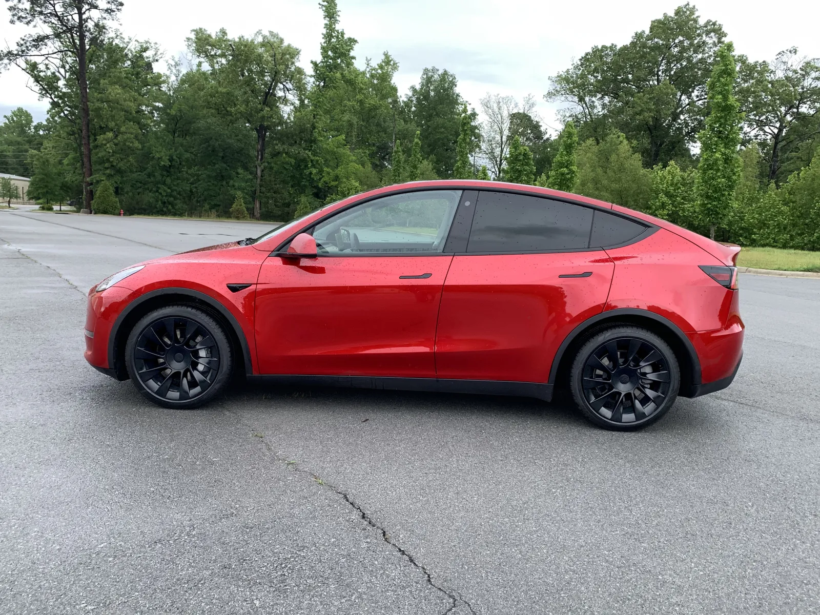 Tesla Model Y photo 4