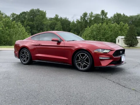 Red 2019 FORD MUSTANG for sale in Little Rock, AR