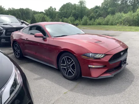 2019 FORD MUSTANG for sale in Little Rock, AR