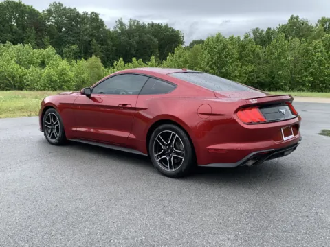 More photos of 2019 FORD MUSTANG at Bill Fitts Auto Sales, AR