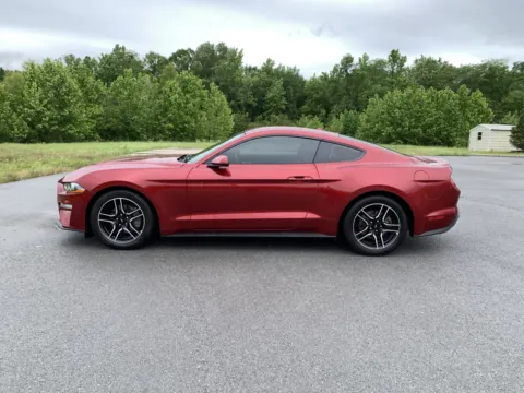 More photos of 2019 FORD MUSTANG at Bill Fitts Auto Sales, AR