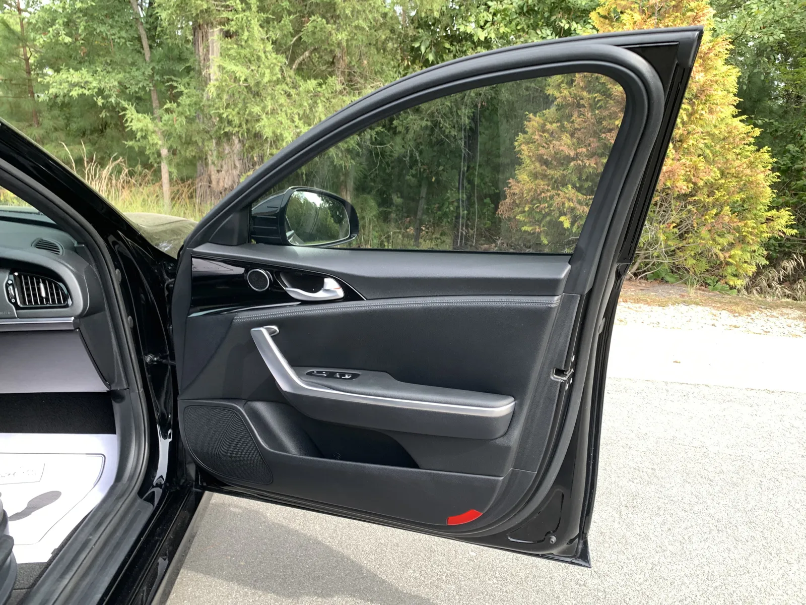 Kia Stinger photo 28