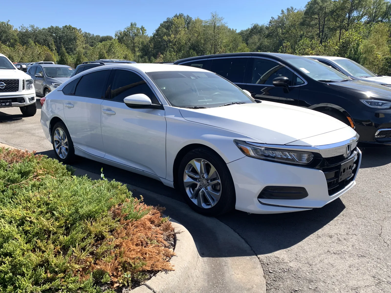 2020 Honda Accord