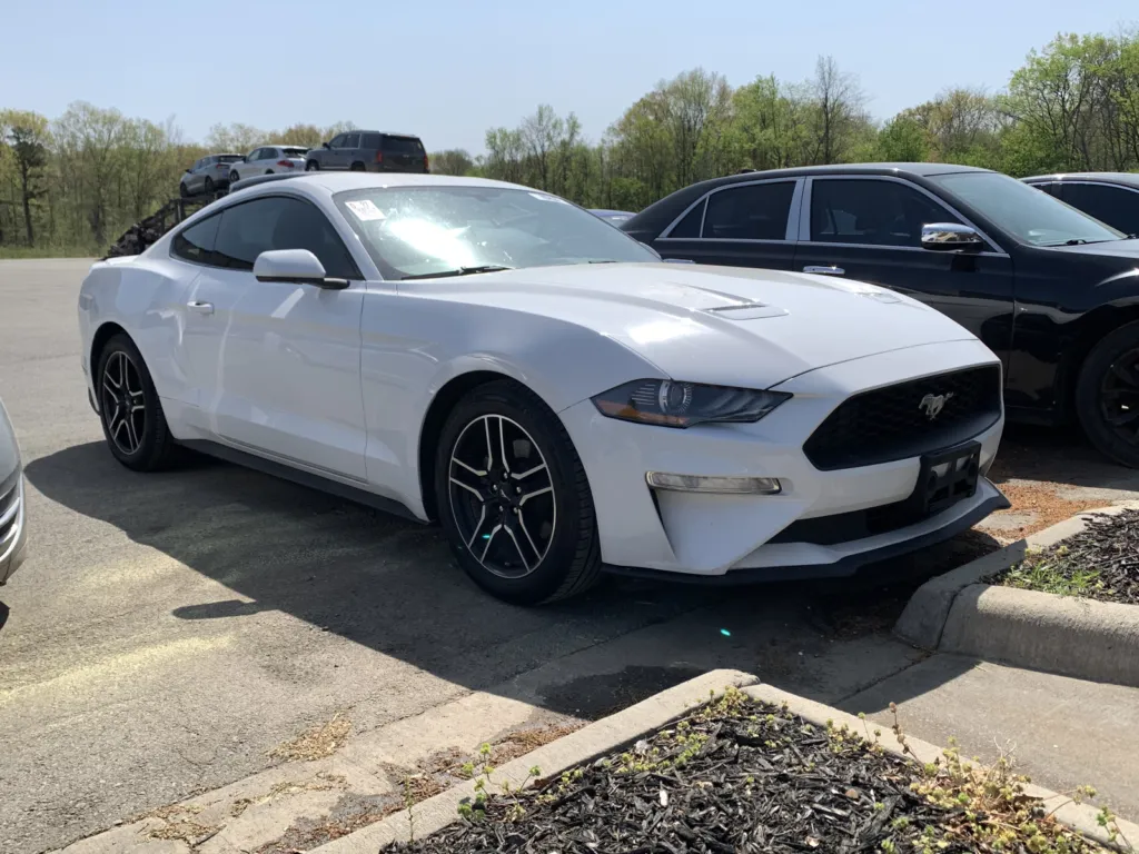 2019 FORD MUSTANG for sale in Little Rock, AR