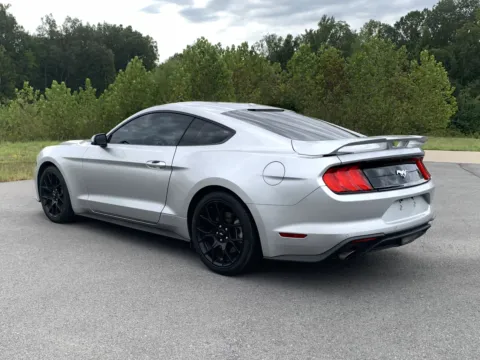 More photos of 2019 FORD MUSTANG at Bill Fitts Auto Sales, AR