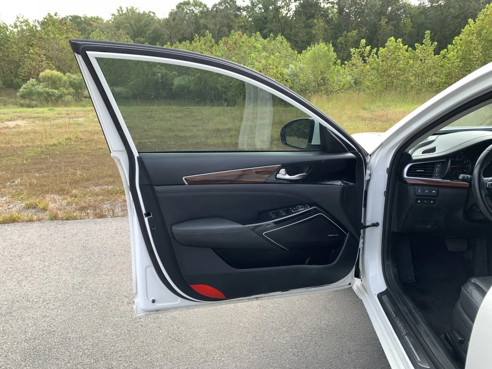 Kia Cadenza photo 17
