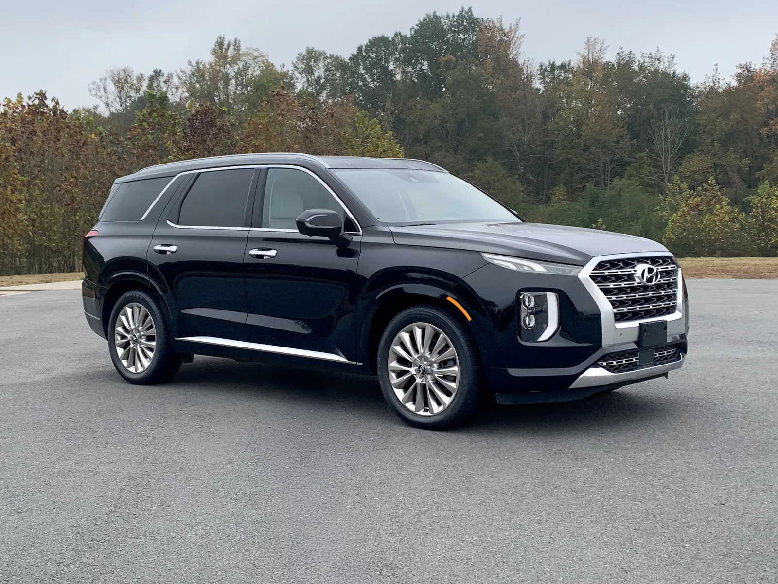 2020 HYUNDAI PALISADE LIMIT Limited for sale in Little Rock, AR