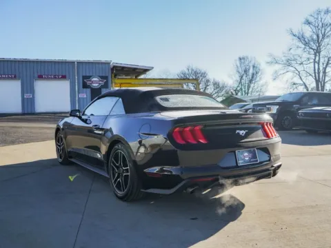 More photos of 2022 Ford Mustang EcoBoost Premium at TLC Motors, SC