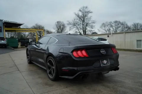 More photos of 2019 Ford Mustang Bullitt at TLC Motors, SC