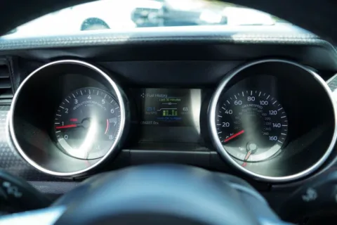 More photos of 2019 Ford Mustang EcoBoost at TLC Motors, SC