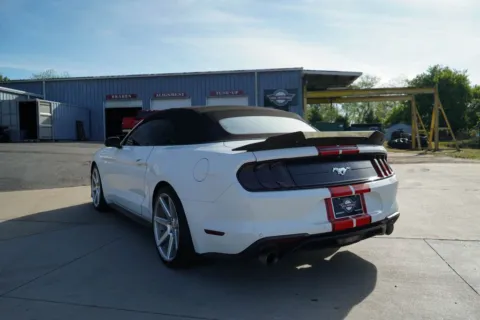 More photos of 2019 Ford Mustang EcoBoost Premium at TLC Motors, SC