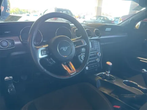 More photos of 2017 Ford Mustang GT at TLC Motors, SC