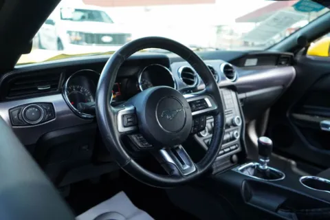 More photos of 2017 Ford Mustang GT at TLC Motors, SC