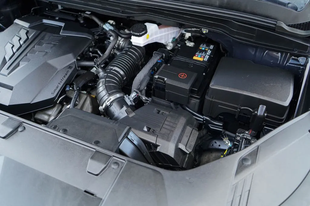Kia Carnival photo 38