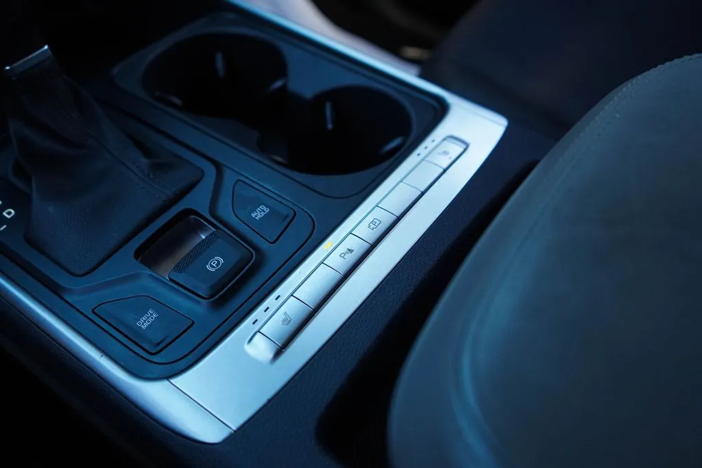 Kia Carnival photo 31