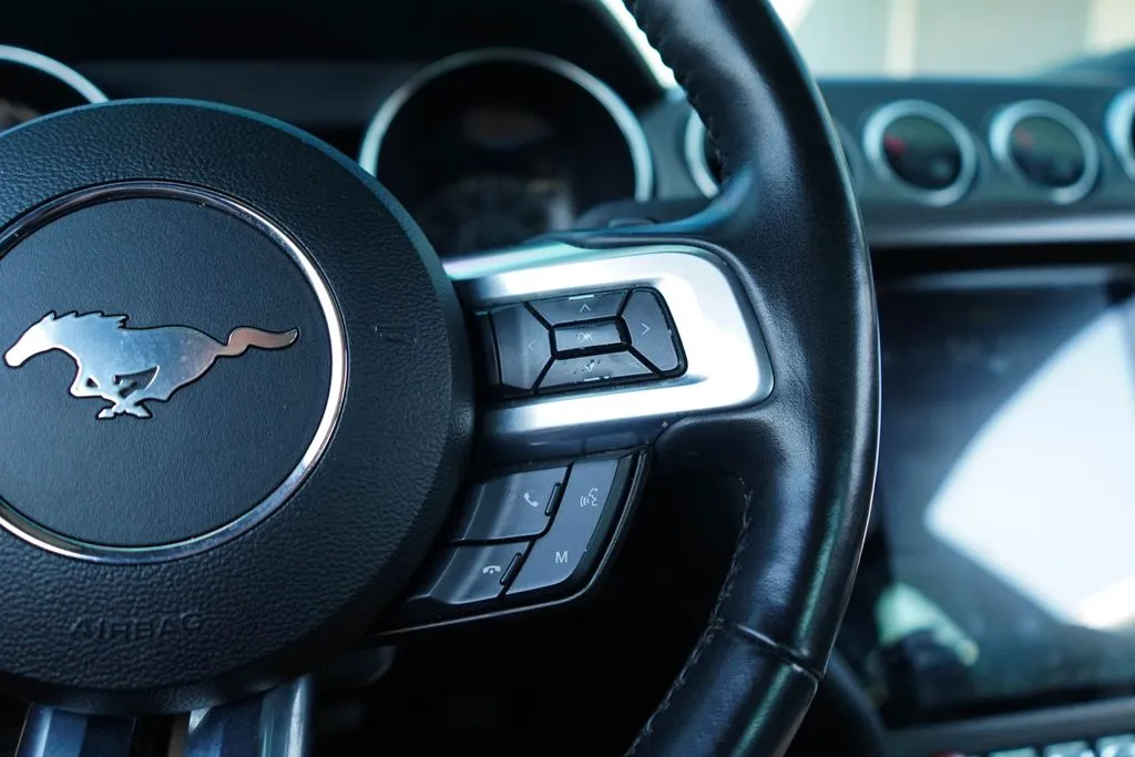 Ford Mustang photo 30