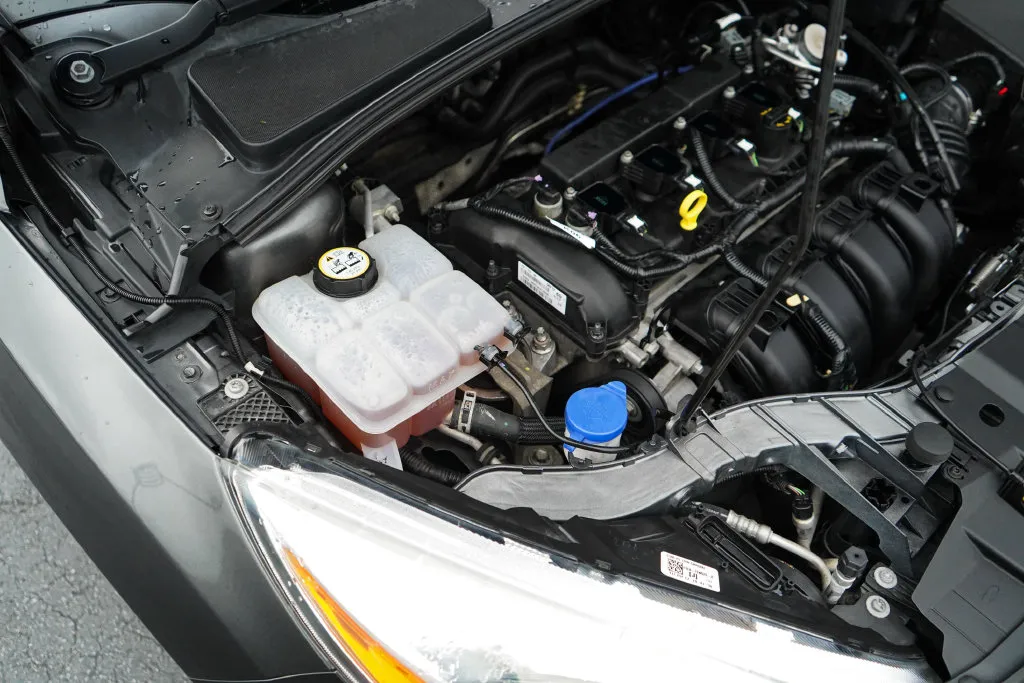 Ford Focus photo 34
