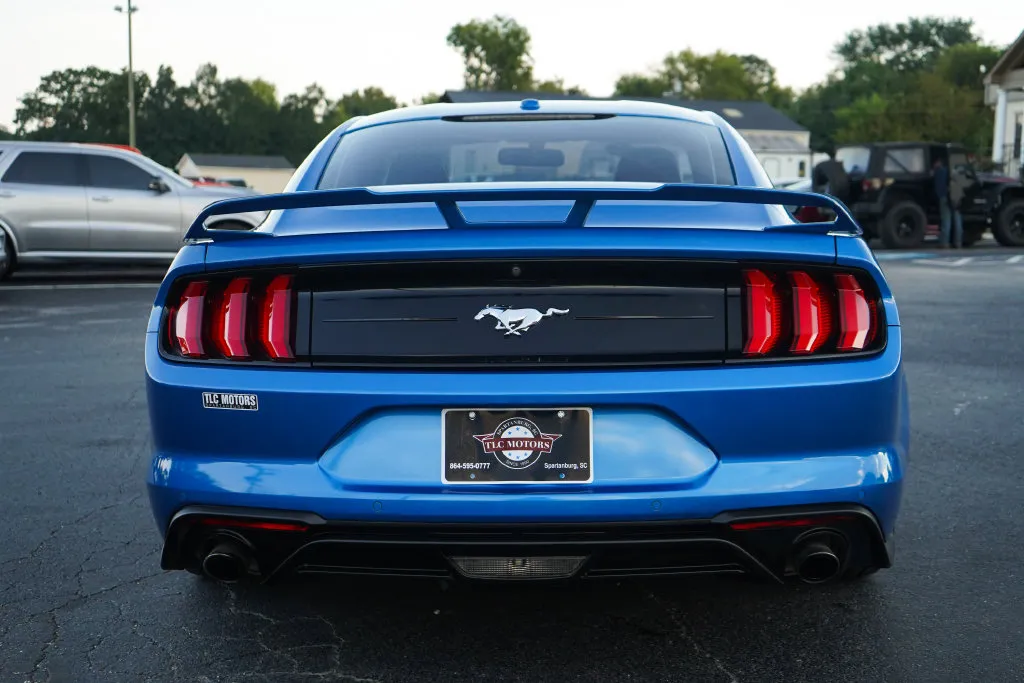 Ford Mustang photo 19