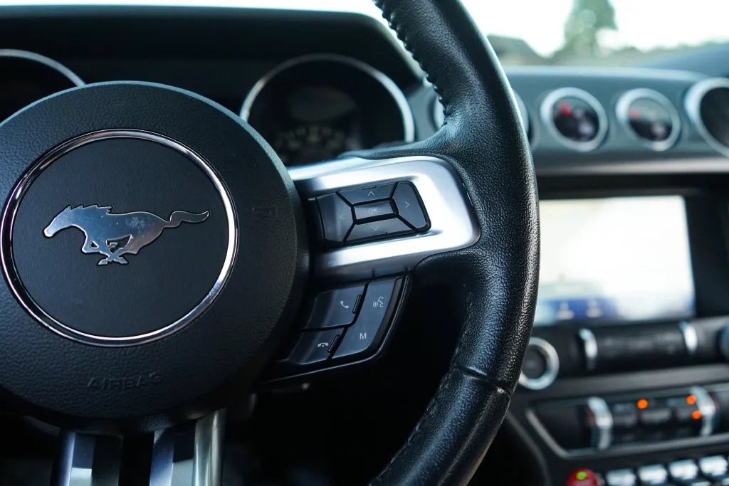 Ford Mustang photo 30