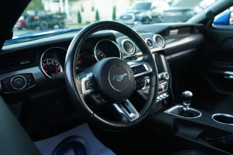 More photos of 2019 Ford Mustang EcoBoost at TLC Motors, SC