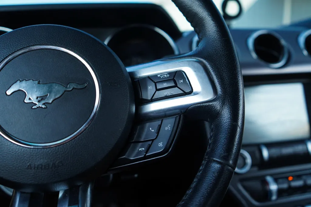 Ford Mustang photo 29