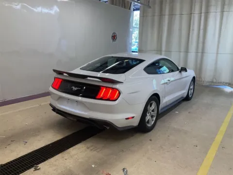Photos of 2020 Ford Mustang EcoBoost for sale in Moore, SC at TLC Motors