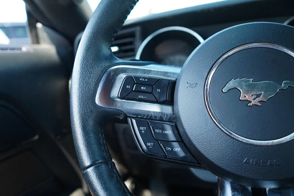 Ford Mustang photo 32
