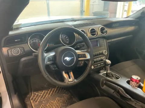 More photos of 2020 Ford Mustang EcoBoost at TLC Motors, SC