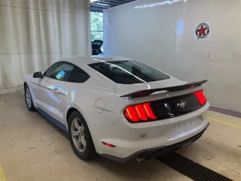 More photos of 2020 Ford Mustang EcoBoost at TLC Motors, SC