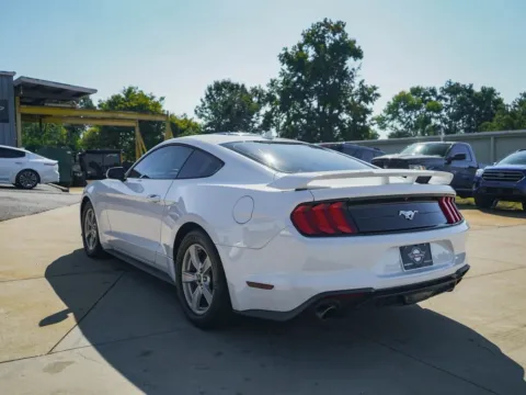 More photos of 2020 Ford Mustang EcoBoost at TLC Motors, SC