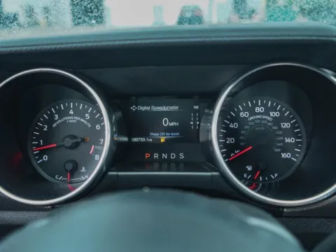 More photos of 2021 Ford Mustang GT at TLC Motors, SC