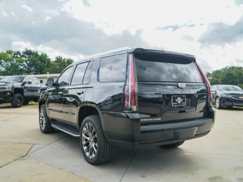 More photos of 2020 Cadillac Escalade Luxury at TLC Motors, SC