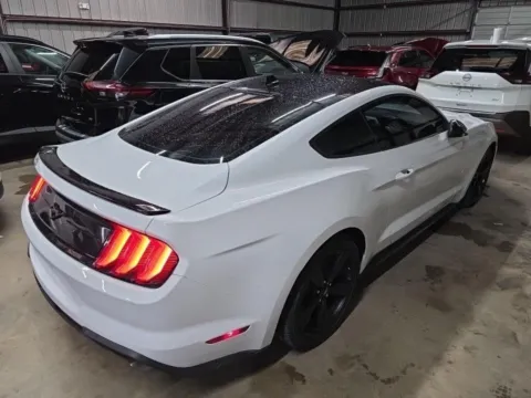 More photos of 2021 Ford Mustang EcoBoost at RightDrive - 8320 Gateway East, TX